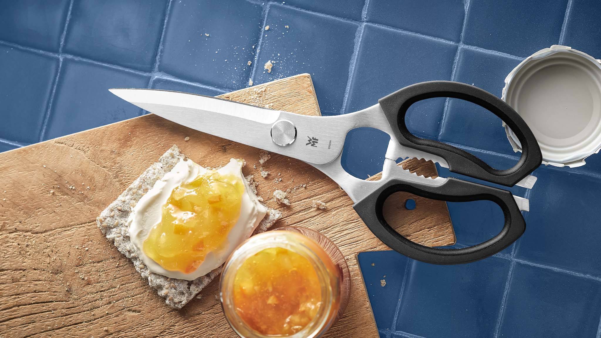 Kitchen Shears universal