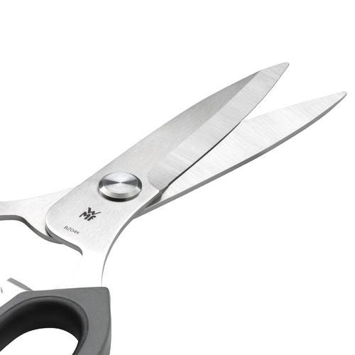 Blades in ideal curved shape